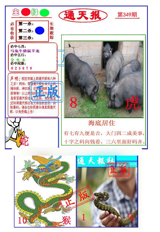 图片正在更新中……